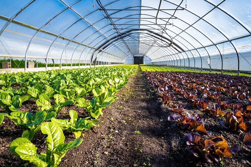 The Strategy and Art of Managing Land Sustainably