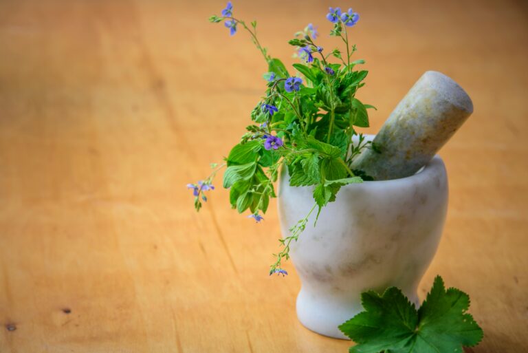Exploring Herbal Apothecary Products